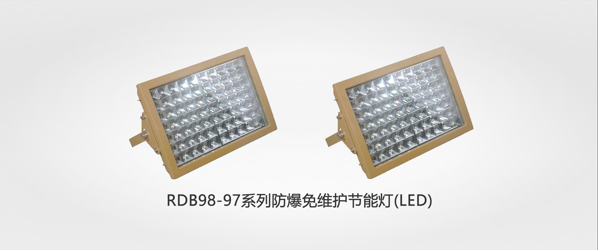 RDB98-97系列防爆免維護節能燈(LED)